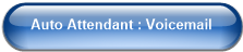 Auto Attendant : Voicemail